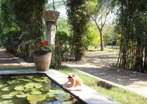 FB 03 Kutch IMG_1514