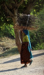 FB 03 Kutch IMG_1544