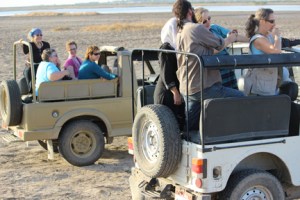 FB 03 Kutch IMG_1639