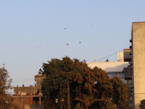 FB 05 Baroda IMG_1991