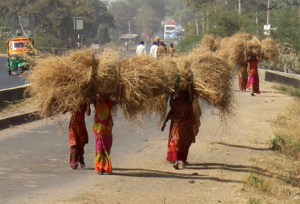 FB 06 Pratapura IMG_2162