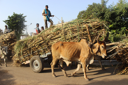 A Day at the&nbsp;Office