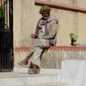 FB 14 Monkey IMG_3029