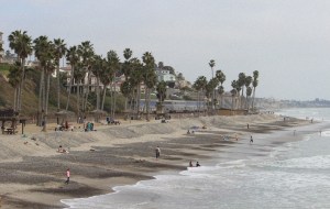 San Clem grain IMG_5192 little