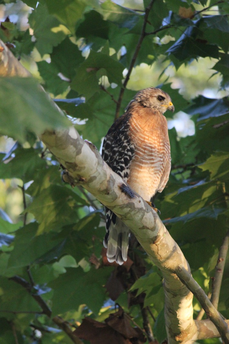 On the Street Where I&nbsp;Live