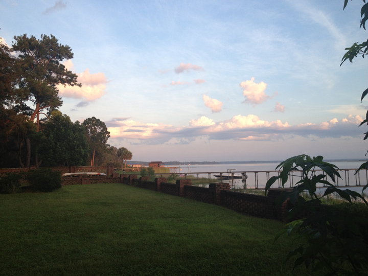 The Enchanted Forest