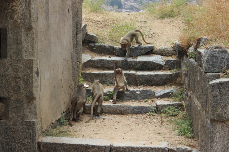 Monkeys, Bombs and Beach&nbsp;Resorts