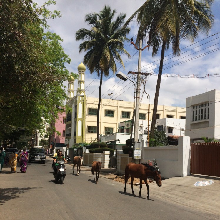 Until Next Time,&nbsp;Coimbature