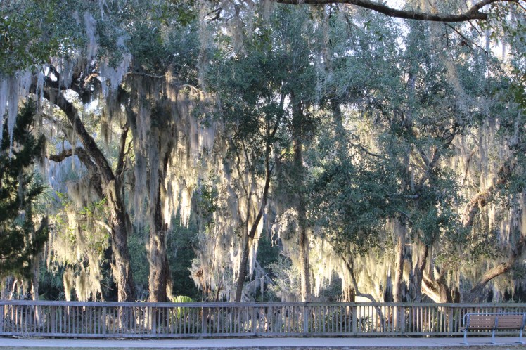 Made in the&nbsp;Shade