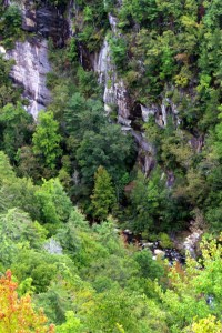 Tallulah Gorge IMG_0191