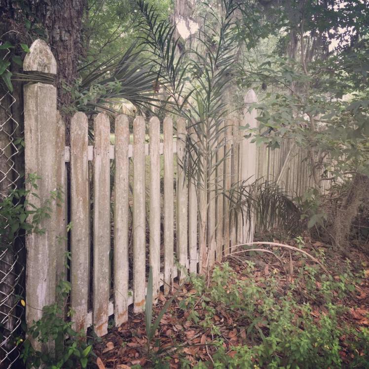 13654312_881763535262073_3914336854251007192_n