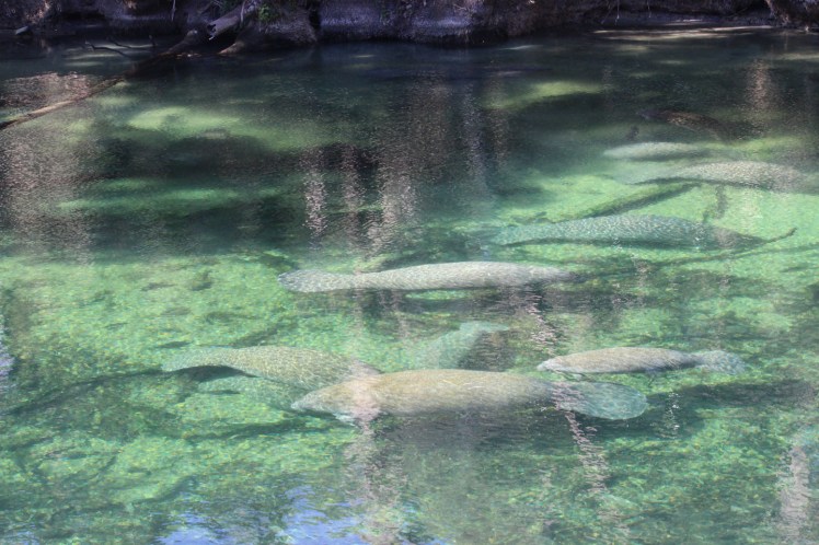 Where Do You&nbsp;Go?